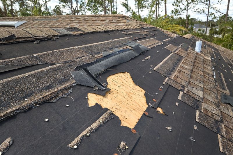 Damaged Roof Repair